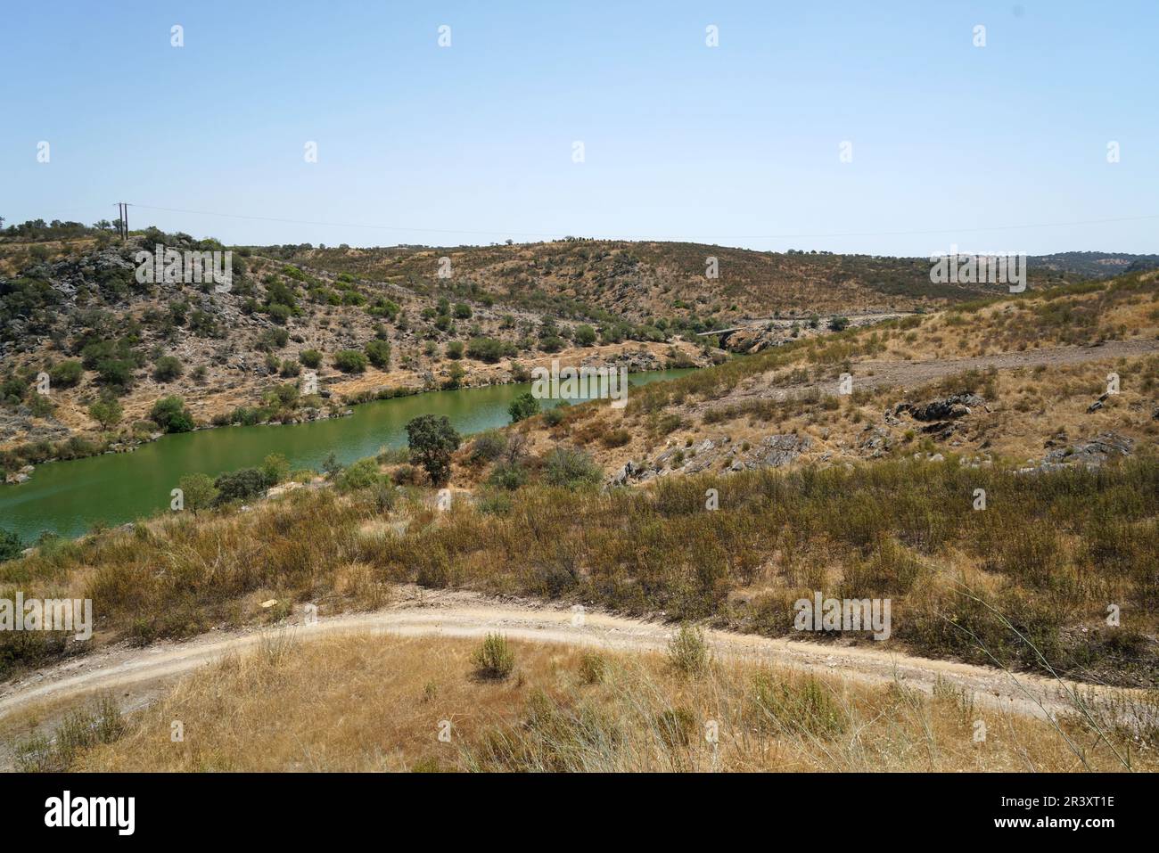 Les sols acides appauvris sans éléments nutritifs dans l'agriculture conduisent à une croissance et à la misère ahurlées Banque D'Images