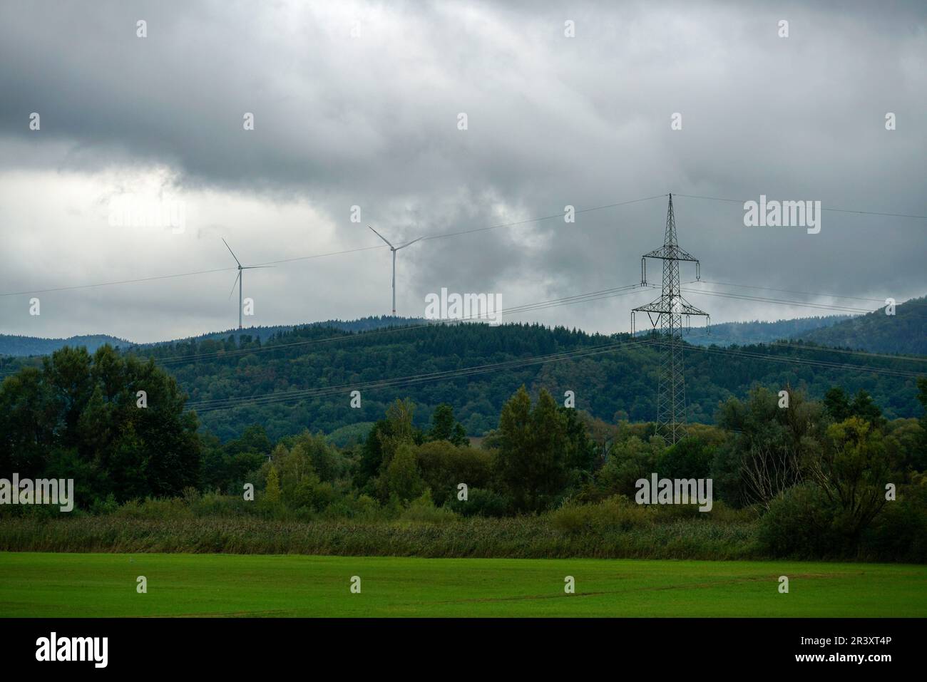 Les sols acides appauvris sans éléments nutritifs dans l'agriculture conduisent à une croissance et à la misère ahurlées Banque D'Images