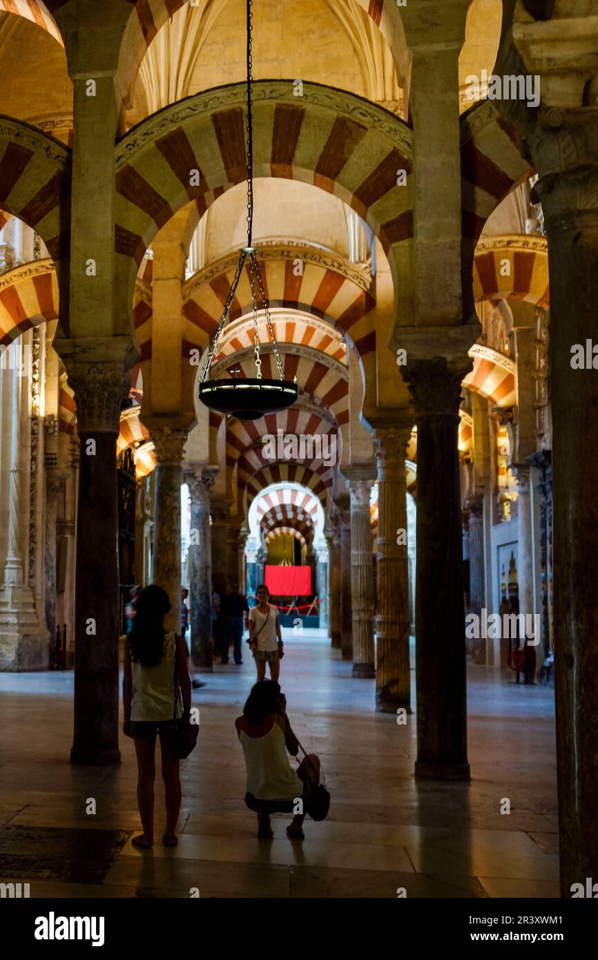 Sala de las columnas, mosquée-cathédrale de Cordoue, Andalousie, espagne. Banque D'Images