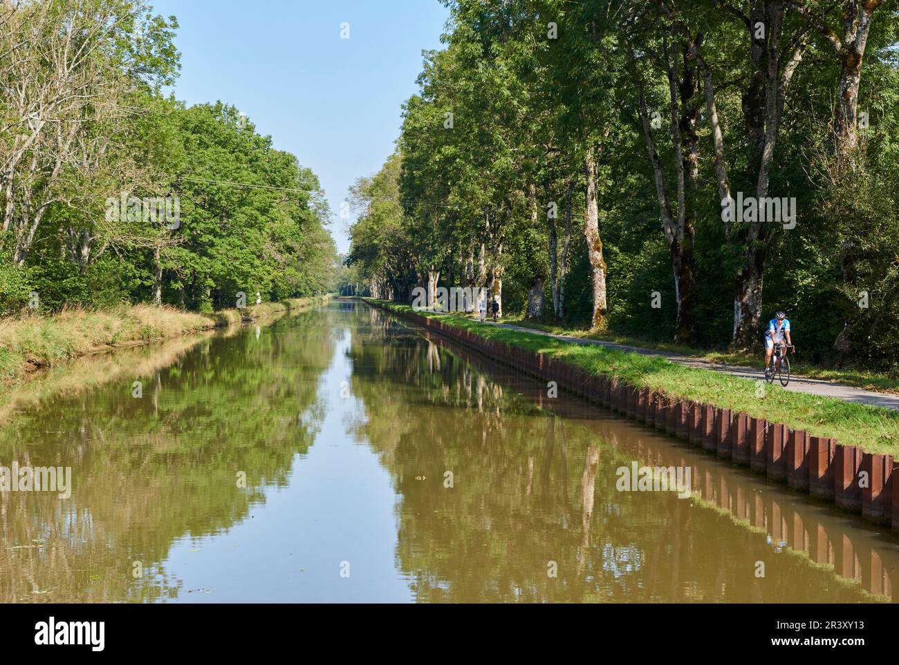Girancourt (nord-est de la France) : le Canal des Vosges (anciennement Canal de l'est, partie sud). Cycliste sur une trajectoire de remorquage Banque D'Images