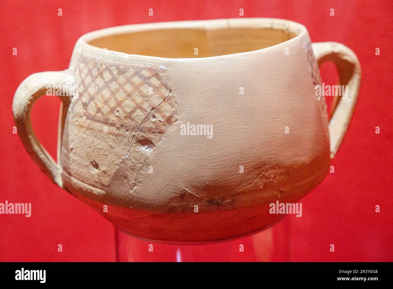 Salle d'entomologie Banque D'Images