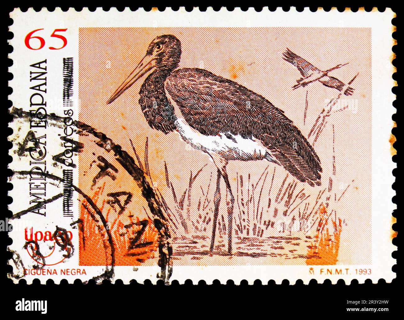 MOSCOU, RUSSIE - 18 MAI 2023 : timbre-poste imprimé en Espagne montre le porc noir (Ciconia nigra), série America UPAEP (1993), vers 1993 Banque D'Images