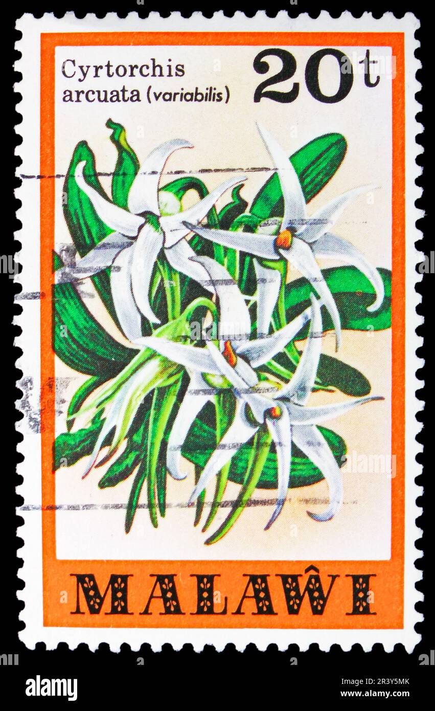 MOSCOU, RUSSIE - 18 MAI 2023: Timbre-poste imprimé au Malawi montre Cyrtorchis arcuata, Orchids Definitifs série, vers 1979 Banque D'Images