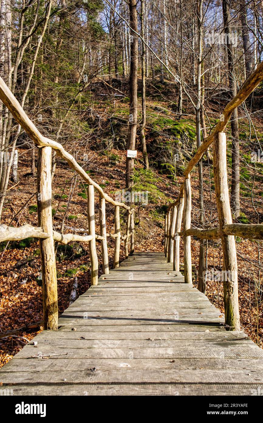 Randonnée sur un pont en bois selketal Banque D'Images