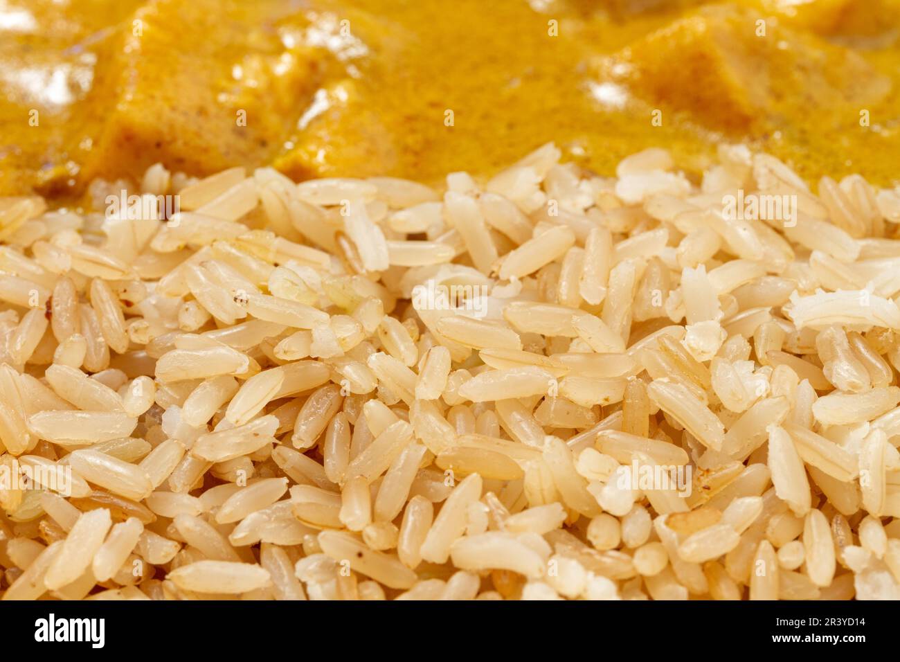 Korma de poulet au riz brun, gros plan sur le riz Banque D'Images