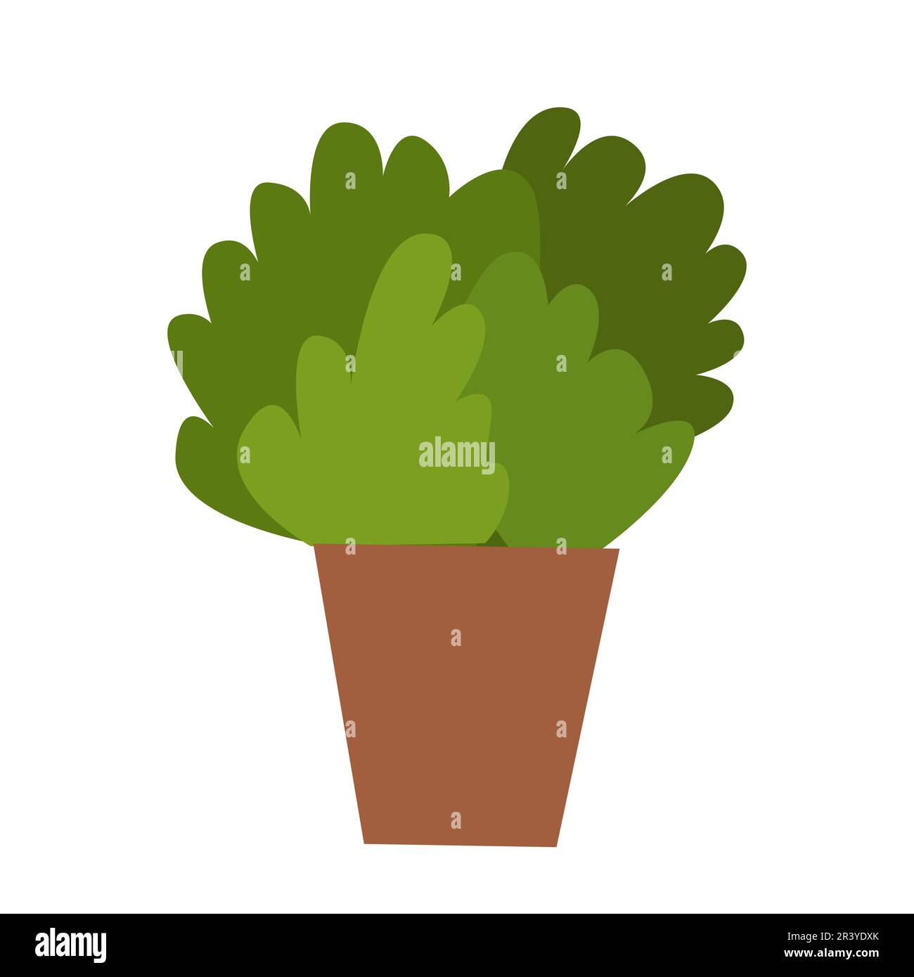 Plante de maison de vecteur Illustration de Vecteur