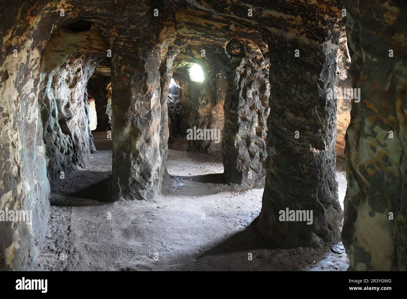Système souterrain de grottes de la forêt pétrifiée à Hawkstone Park Follies, Shrewsbury, Shropshire, Royaume-Uni Banque D'Images
