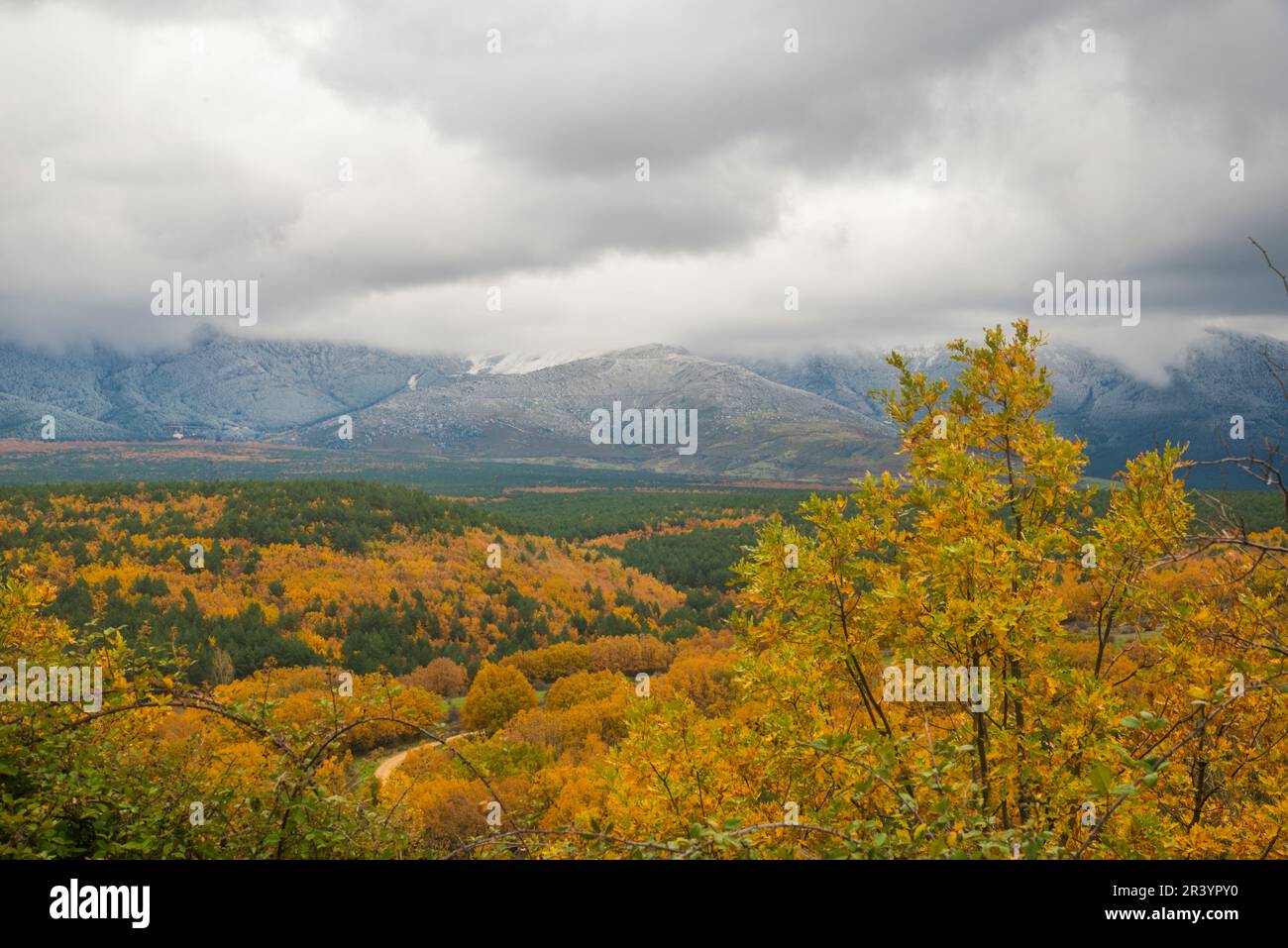 Paysage d'automne. Riaza, province de Segovia, Castilla Leon, Espagne. Banque D'Images
