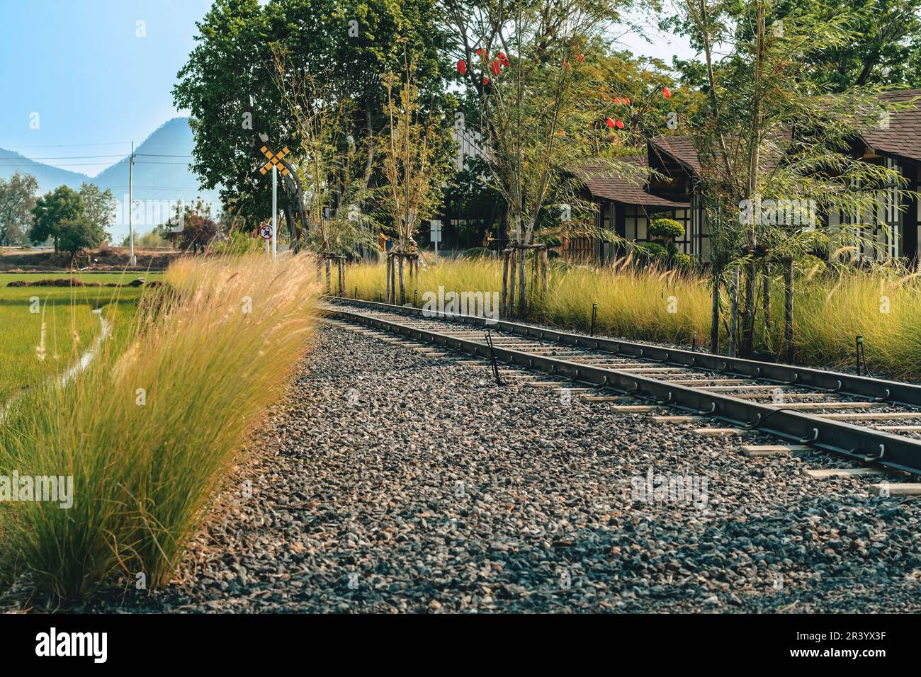 KANCHANABURI-THAÏLANDE, 1 AVRIL 2023 : magnifique paysage de style architectural japonais reposant au milieu de rizières verdoyantes en plein air à Tom Banque D'Images