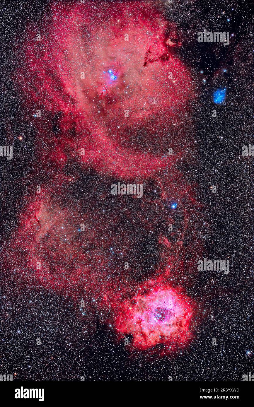Nébuleuses luisants au milieu des groupes d'étoiles des monoceros, avec la nébuleuse de Rosette et le groupe d'arbres de Noël. Banque D'Images