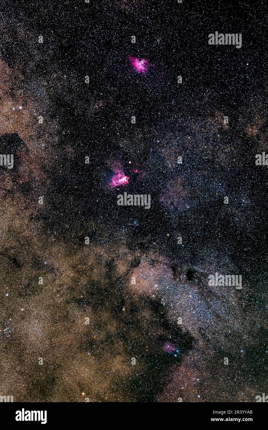 Gros plan du petit Sagittaire Starcloud, qui s'étend vers le nord jusqu'à Messier 16 dans la voie lactée. Banque D'Images