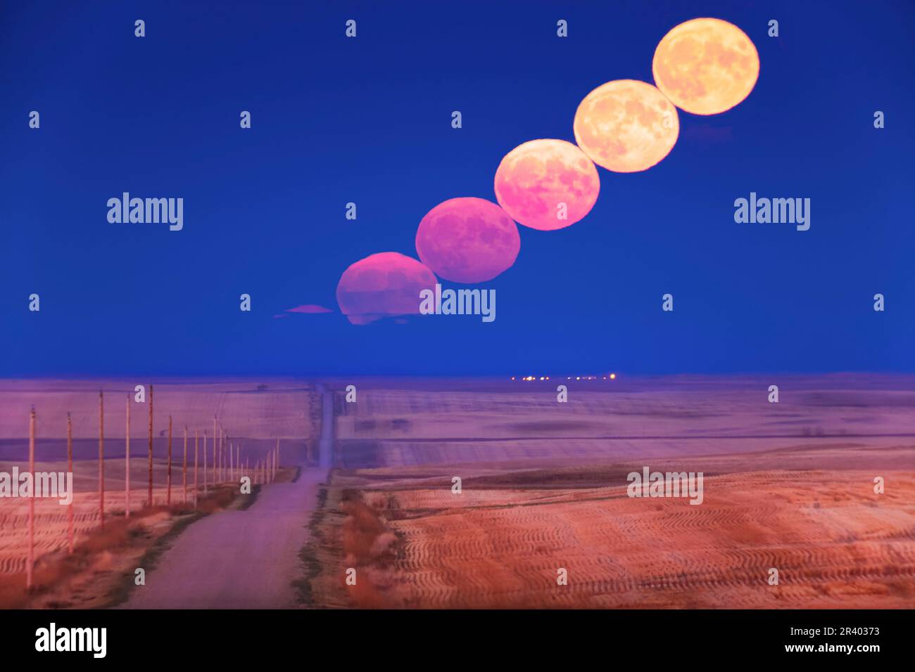 La lune de récolte s'élève à l'extrémité d'une route de campagne dans le sud de l'Alberta, au Canada. Banque D'Images