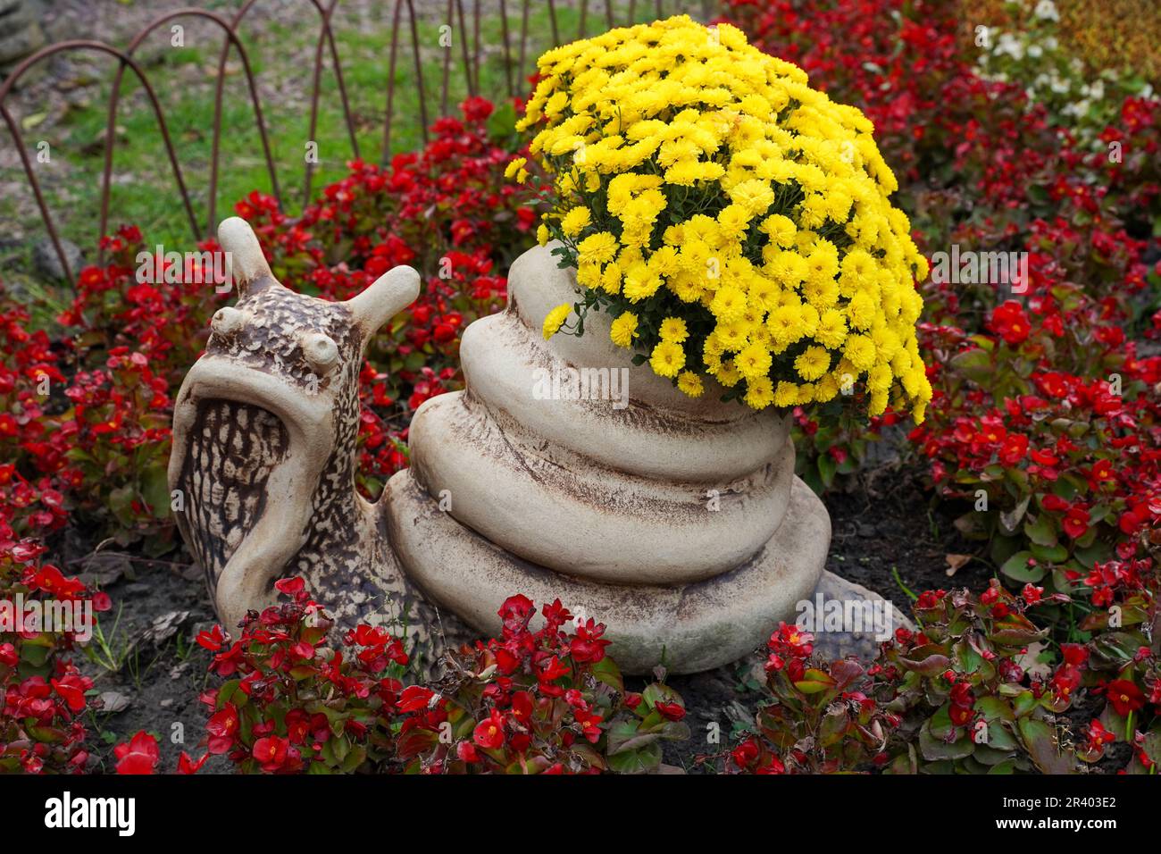 Jardin figure d'un escargot aux fleurs jaunes. Jardin. Banque D'Images