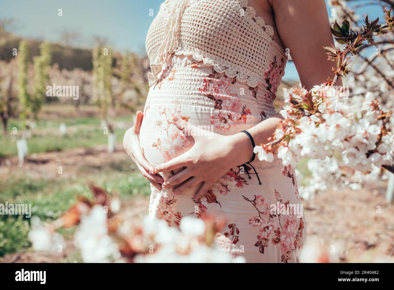 Femme touchant son ventre dans un champ d'amandiers. Banque D'Images