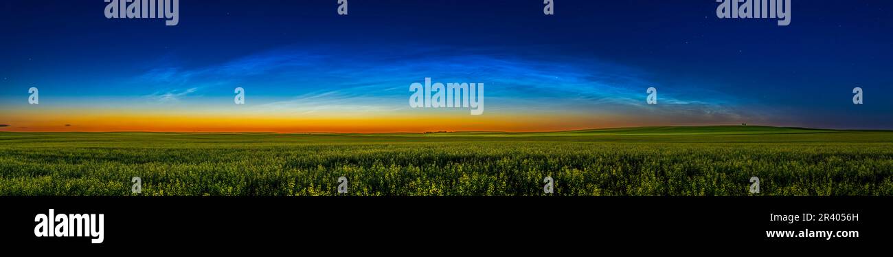 Arc nuageux Noctilucent sur un champ de canola mûrissant dans le sud de l'Alberta, Canada. Banque D'Images