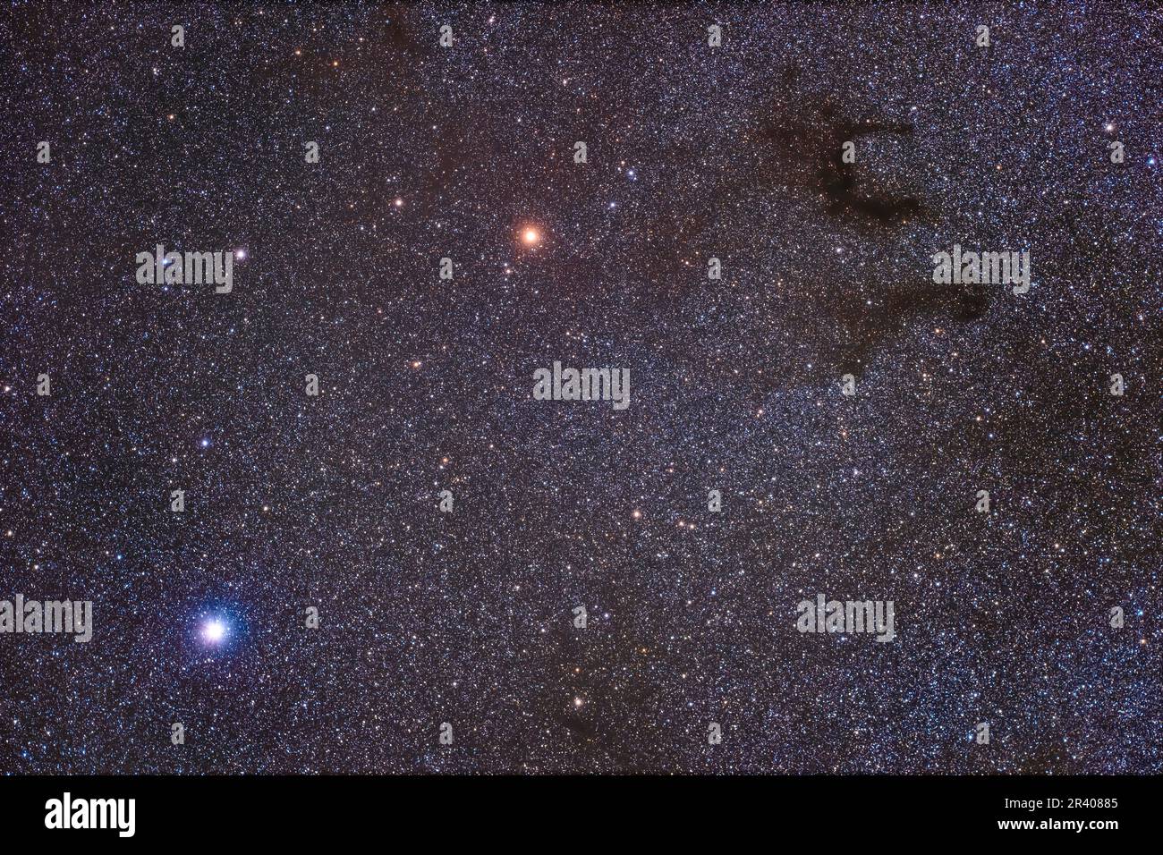 Champ autour de l'étoile blanche lumineuse Altair, de l'étoile géante orange Tarazed et de l'E de Barnard à Aquila. Banque D'Images