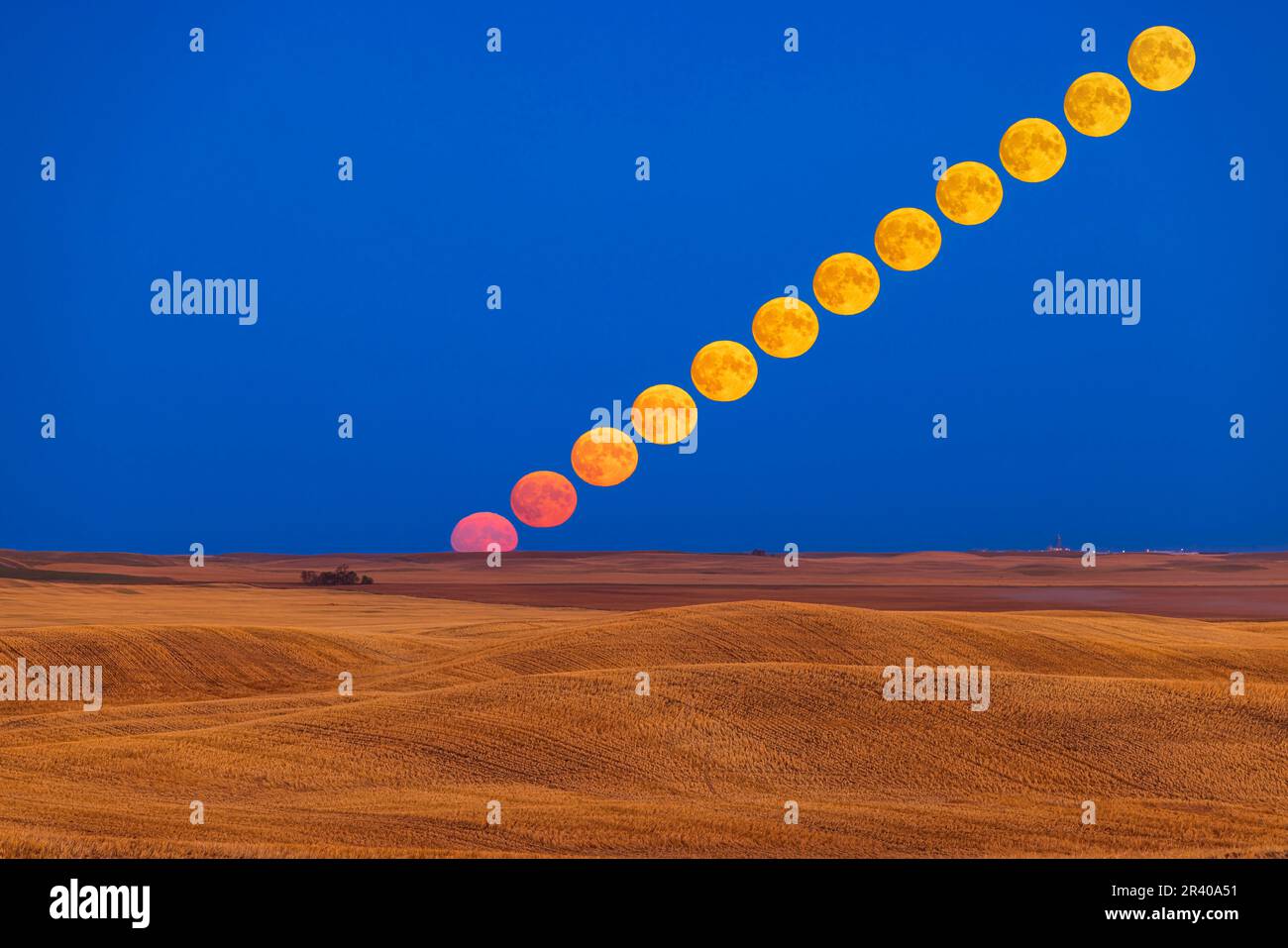 Laps de temps de la Lune de récolte s'élevant au-dessus d'un champ de prairie récolté dans le sud de l'Alberta, Canada. Banque D'Images