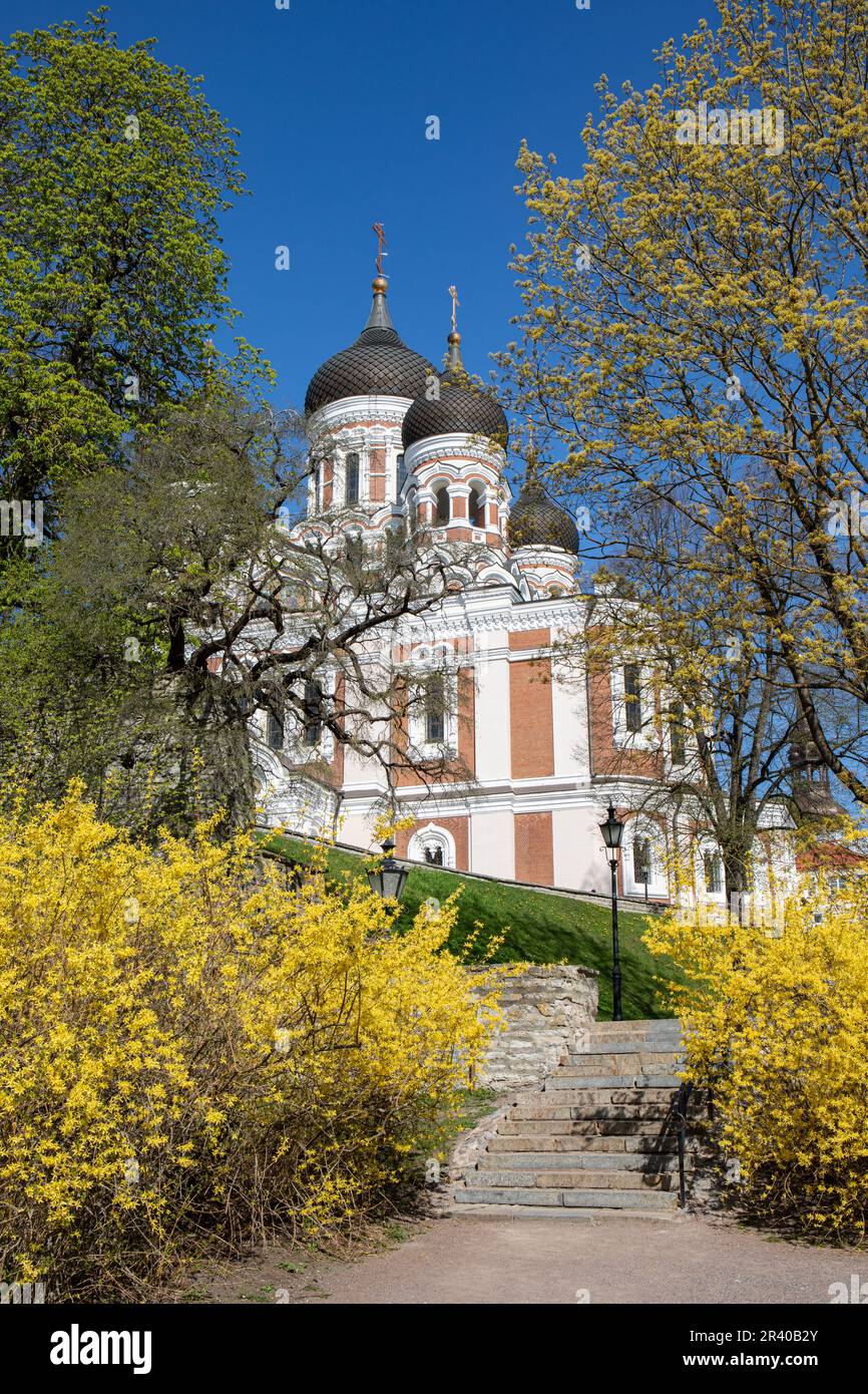 Komandandi jardin escalier menant à la cathédrale russe de Revival Alexandre Nevsky lors d'une journée de printemps ensoleillée à Vanalinn, la vieille ville de Tallin, Estonie Banque D'Images