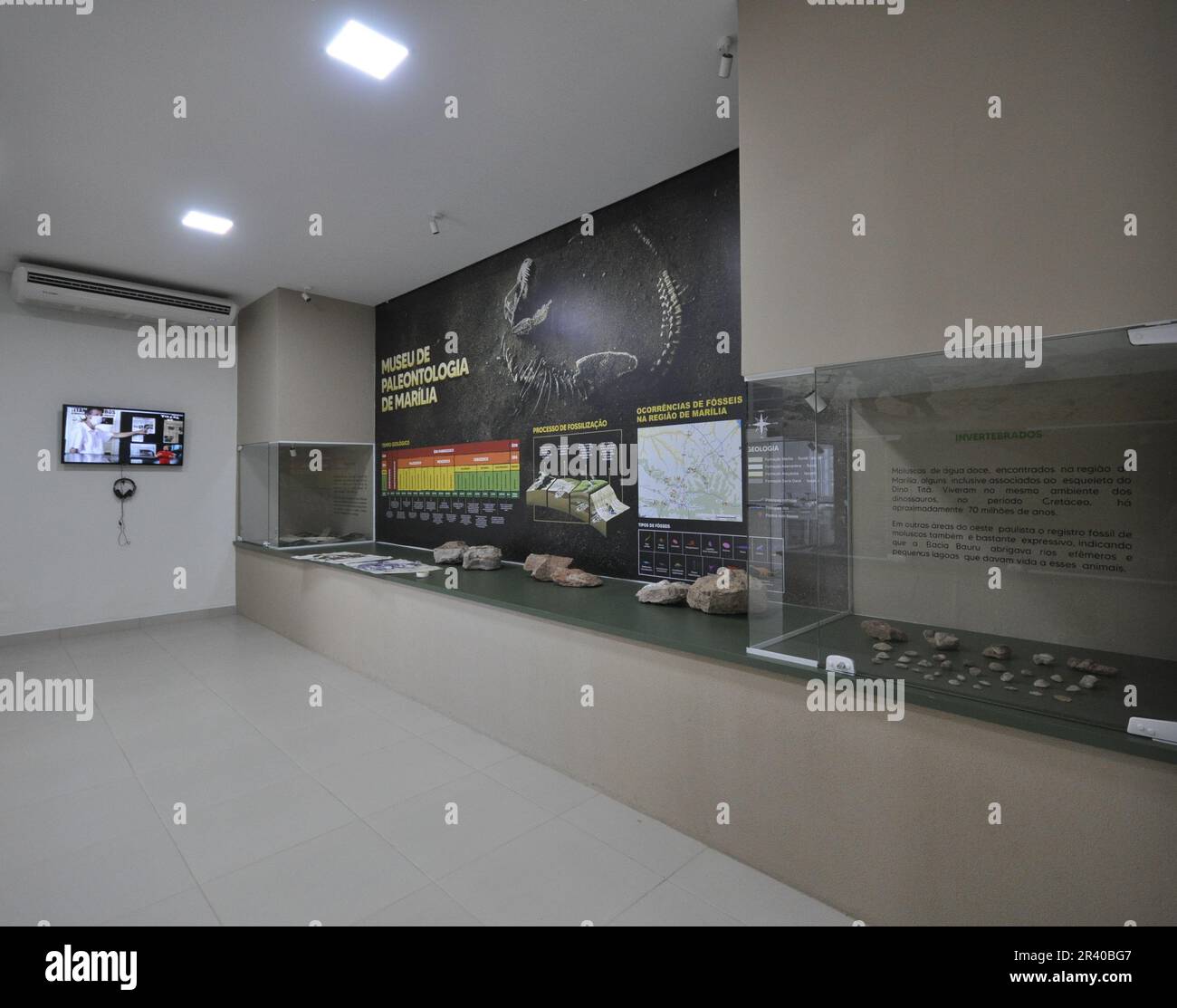 Ville: Marilia, São Paulo, Brésil - 27 octobre 2022:intérieur du Musée de la Palénologie dans la ville de Marília, São Paulo, Brésil, récemment ouvert dans le Th Banque D'Images
