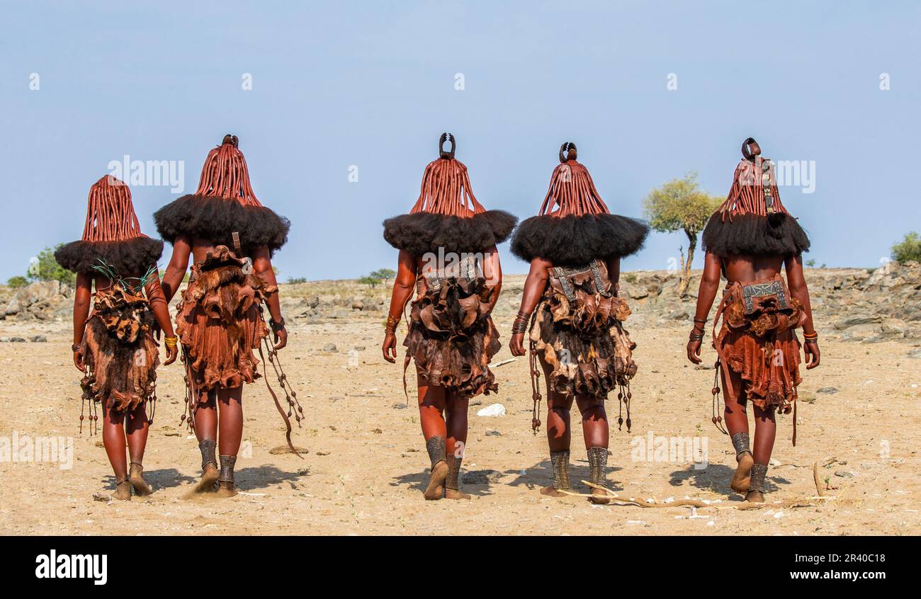 Groupe de femmes de la tribu Himba marche dans le désert en vêtements nationaux. Banque D'Images