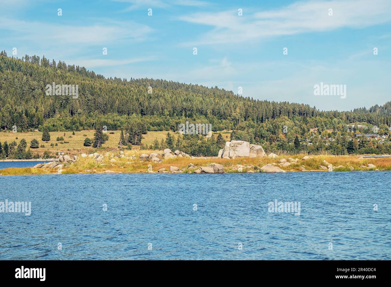 Rock Island à Schluchsee, communauté Schluchsee, Forêt Noire Banque D'Images