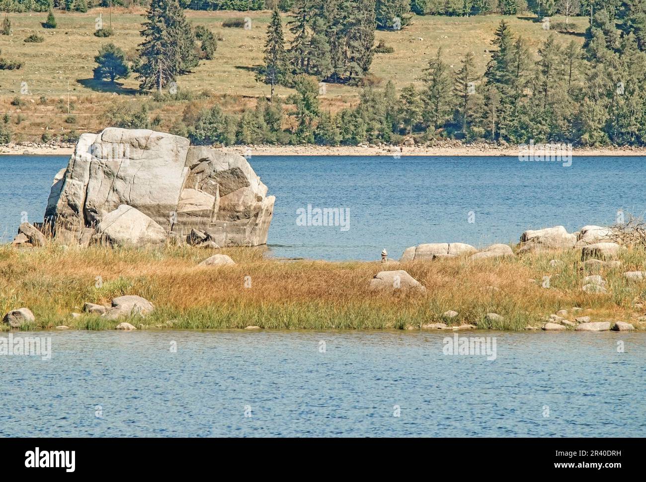 Rock Island à Schluchsee, communauté Schluchsee, Forêt Noire Banque D'Images
