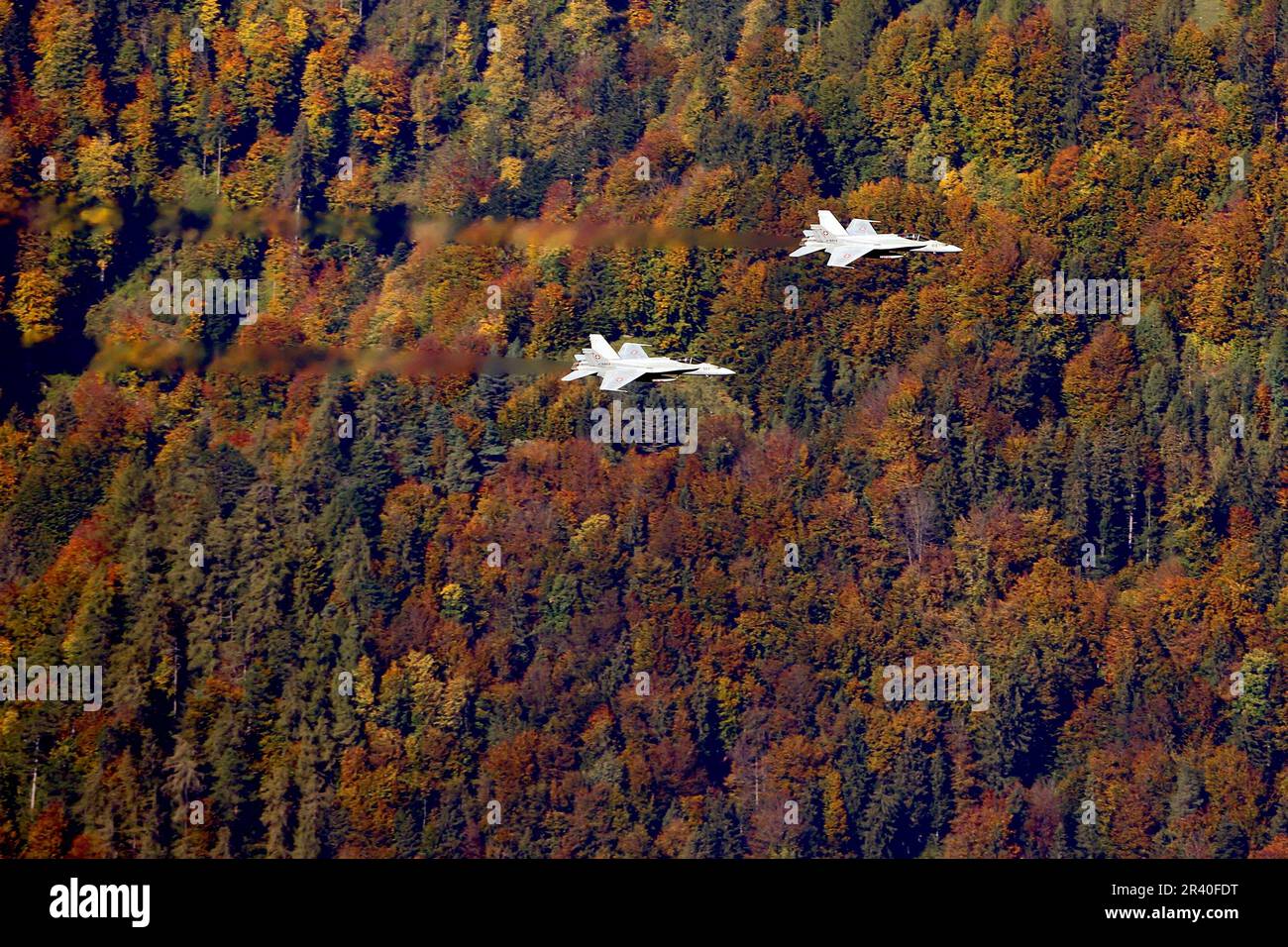 F/A-18C chasseurs à réaction Hornet de l'armée de l'air suisse volant une forêt à Axalp, en Suisse. Banque D'Images