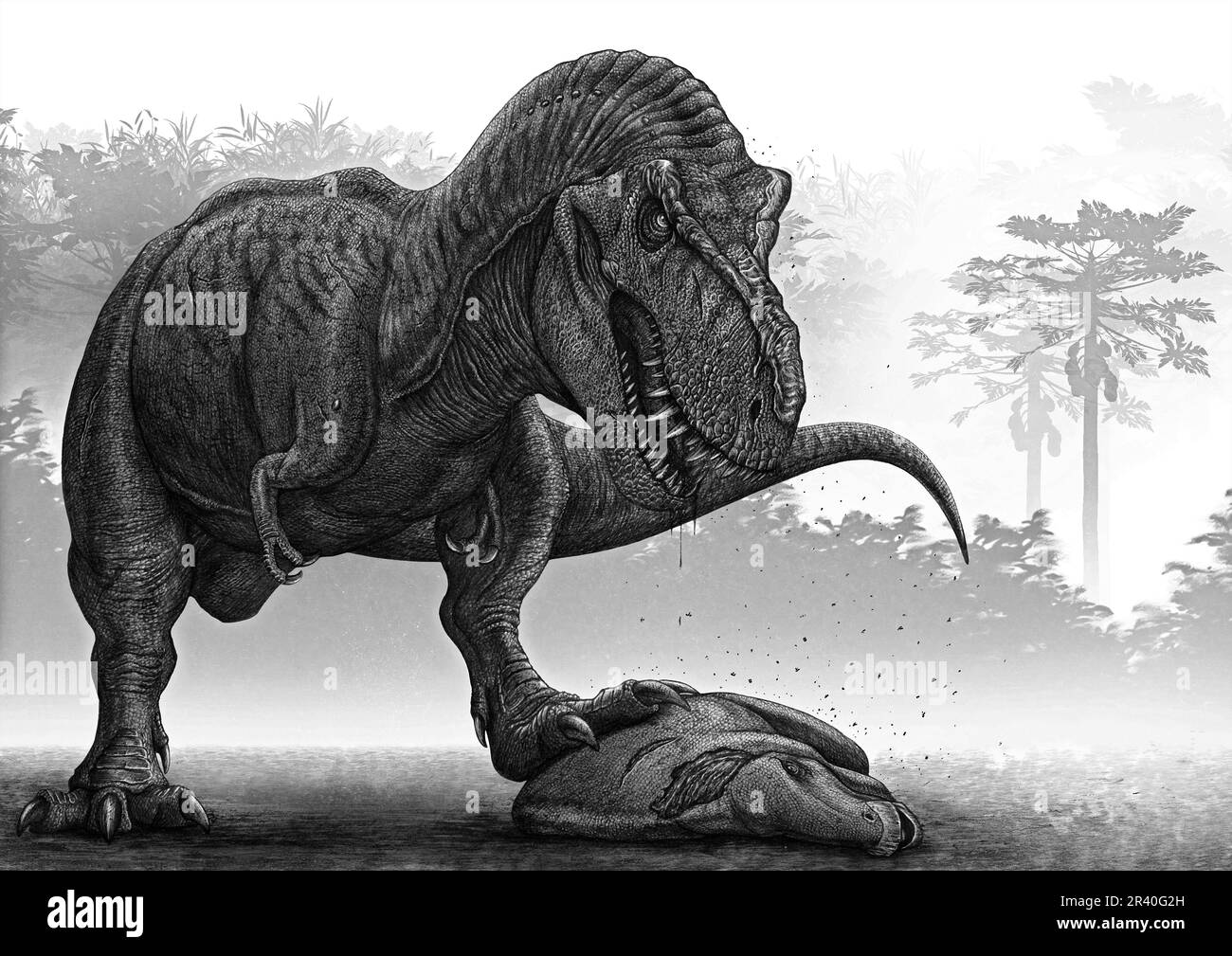 Tyrannosaurus rex se tenant au-dessus de sa mort récente, un Edmonstosaurus juvénile. Banque D'Images
