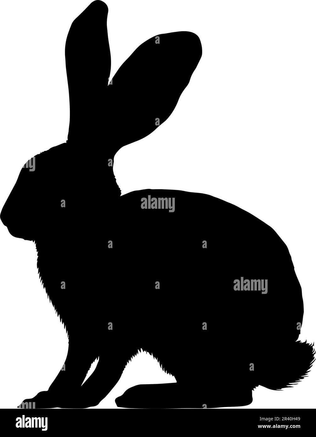 Silhouette de lapin isolée sur fond blanc. Illustration vectorielle Illustration de Vecteur