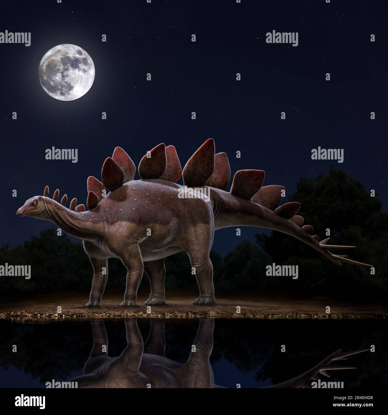 Stegosaurus stenops dinosaure la nuit. Banque D'Images