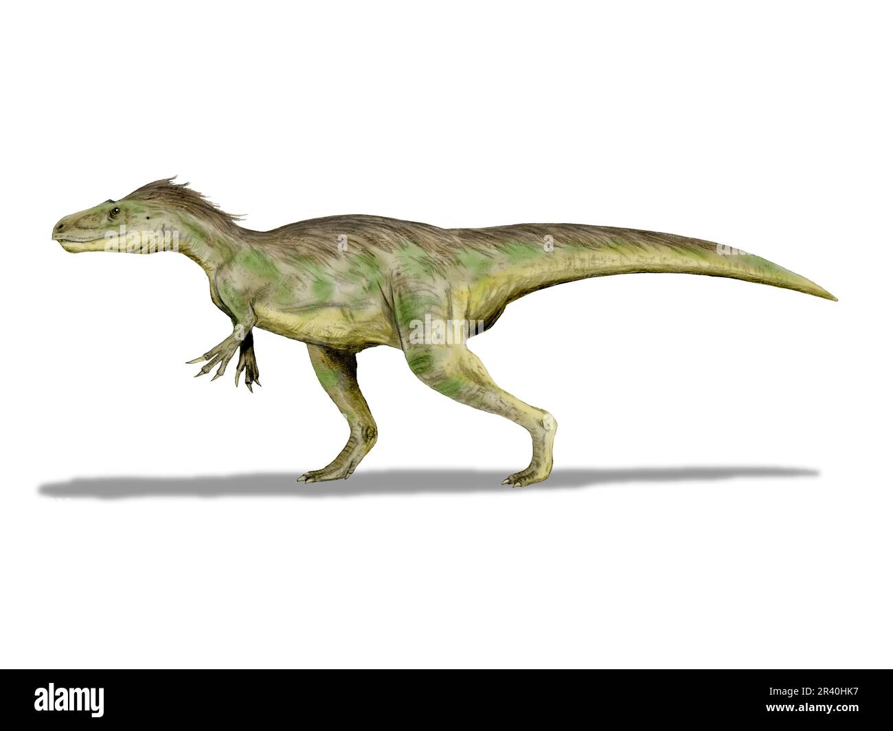 Dryptosaurus dinosaure, dessin au crayon. Banque D'Images