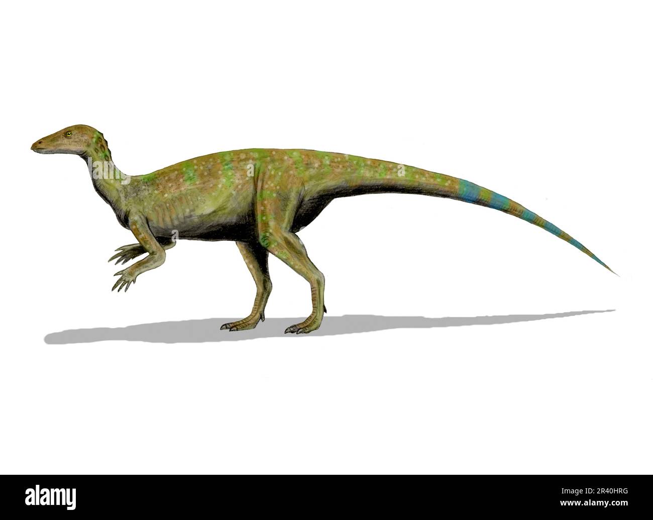 Thescelosaurus dinosaure, dessin au crayon. Banque D'Images