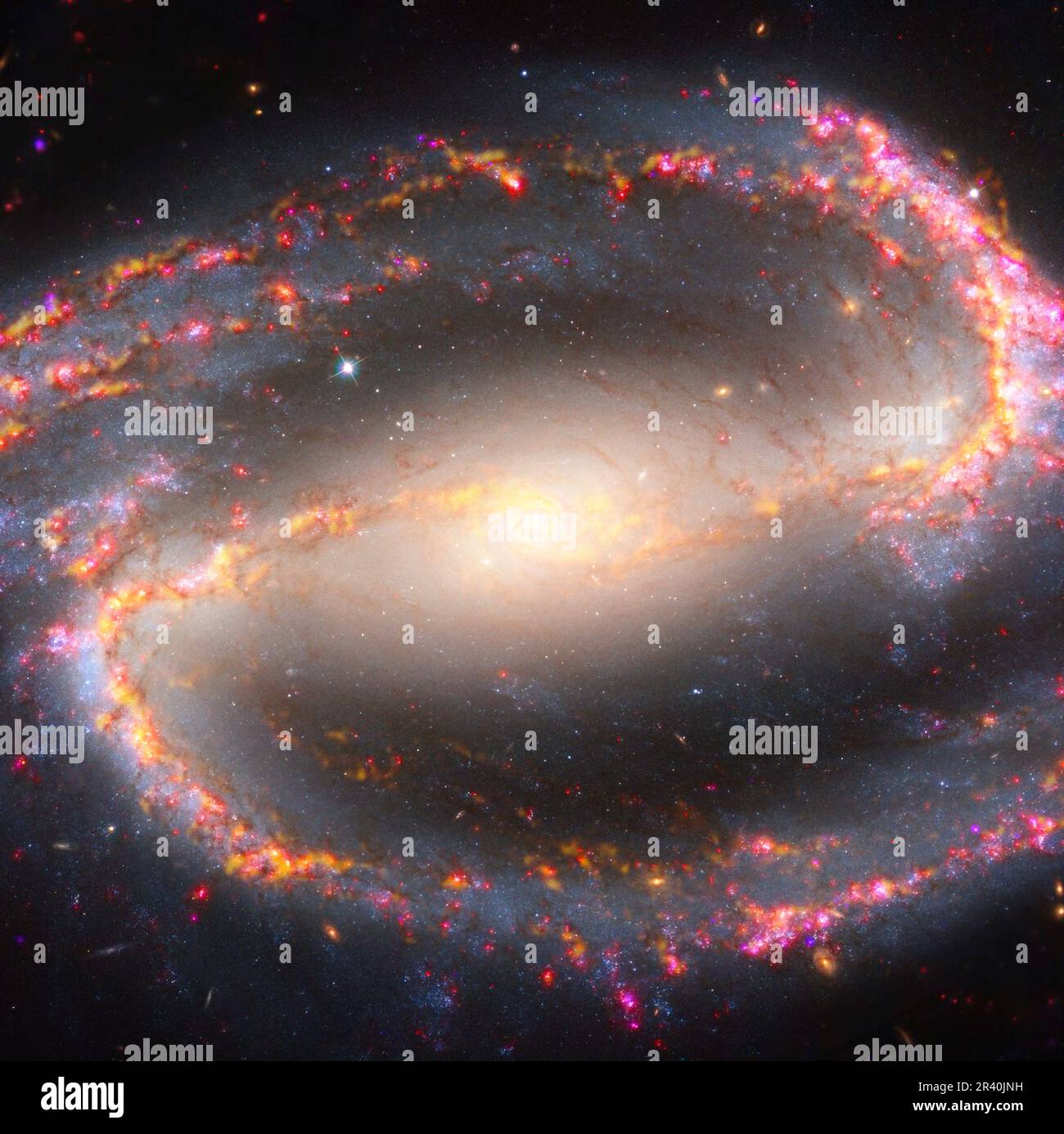 Galaxie spirale NGC 1300. Banque D'Images
