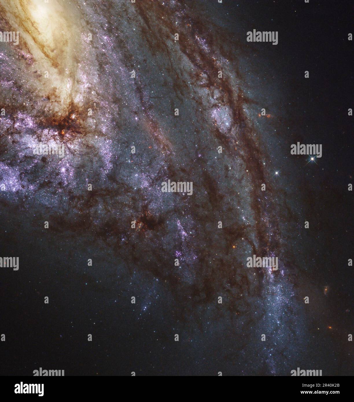 Galaxie spirale NGC 3627. Banque D'Images