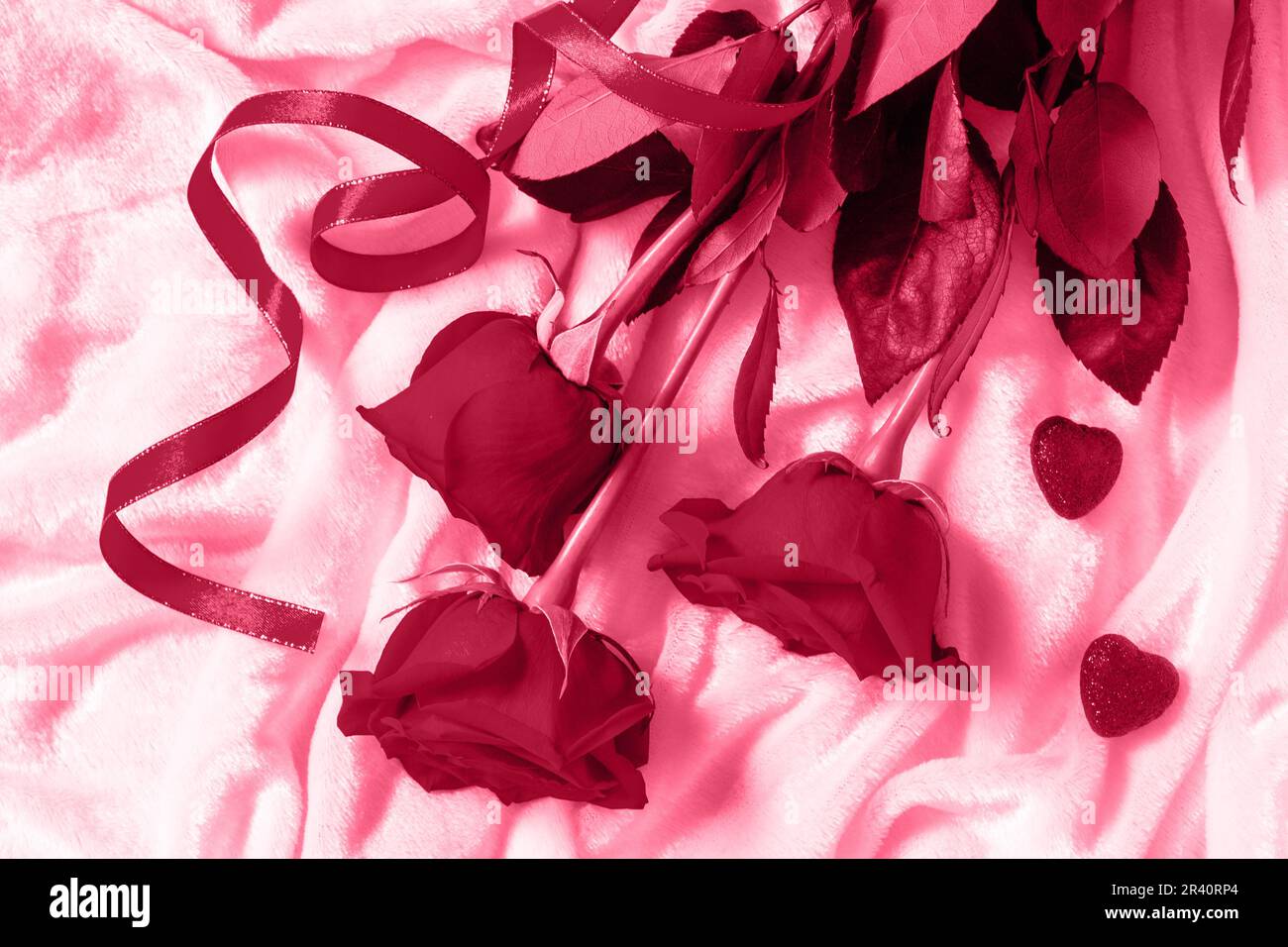 Saint Valentin surprise. Roses rouges et coeurs sur le lit. Plan d'agencement avec vue de dessus. Couleur tendance de l'année 2023 - Viva Magenta. Banque D'Images