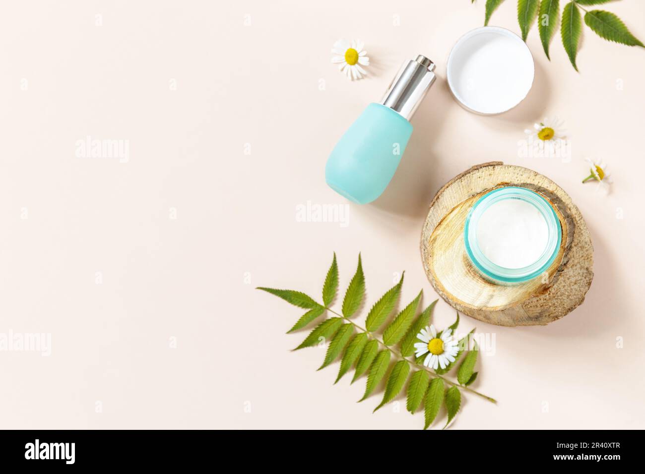 Hygiène quotidienne et soins sains pour la peau des femmes. Crème cosmétique et sérum pour le visage avec flotteurs de cammomille sur fond bleu. SPA natura Banque D'Images