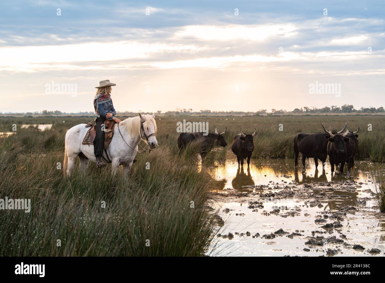 Cowboy portant un long prod de bétail près d'un troupeau de taureaux, Camargue, France Banque D'Images Cowboy portant un long prod de bétail près d'un troupeau de taureaux, Camargue, France Banque D'Images