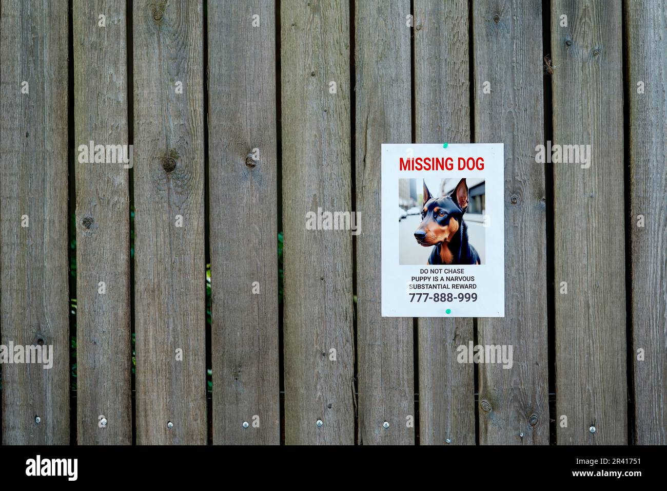 Sur une clôture en bois pend un avis sur la perte d'un chien. Animal manquant. Banque D'Images