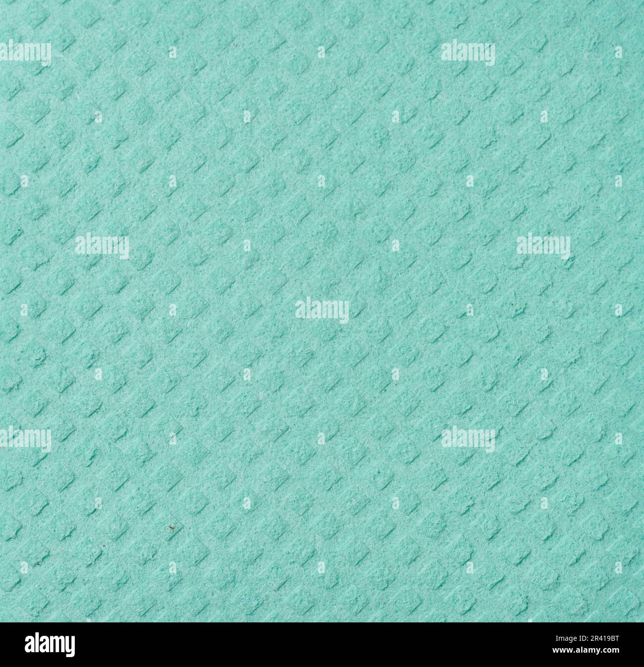 Texture de l'éponge verte pour la cuisine et la maison sur fond blanc isolé Banque D'Images