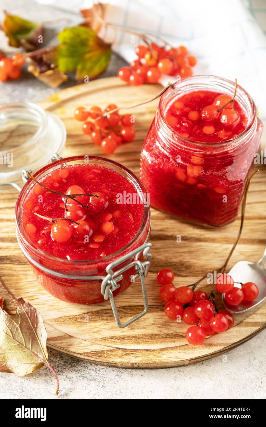 Viburnum mûr frais avec sucre pour la préparation de la vitamine et thé antioxydant sur une table en pierre. Source de vitamines naturelles. U Banque D'Images