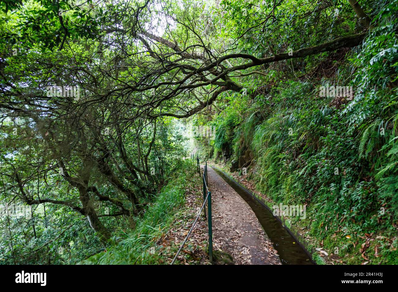 Sentier de randonnée le long de Levada do Rei randonnée sur l'île de Madère au Portugal Banque D'Images