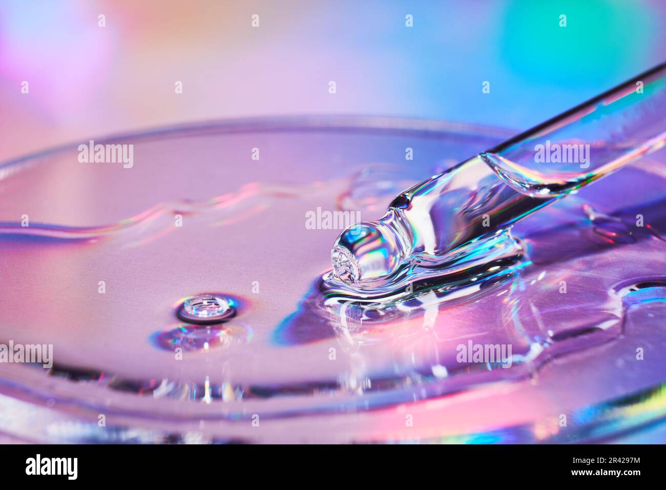 Pipeter avec un échantillon de produit cosmétique dans une boîte de Petri sur fond holographique, reflets irisés, foyer sélectif Banque D'Images