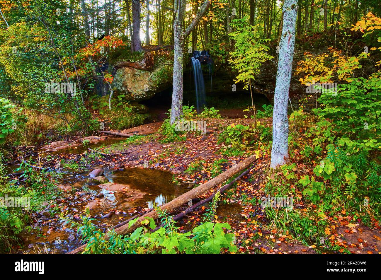 Arbre tombé dans une forêt de conte de fées avec chute d'eau en arrière-plan coulant sur la falaise dans un ruisseau peu profond Banque D'Images