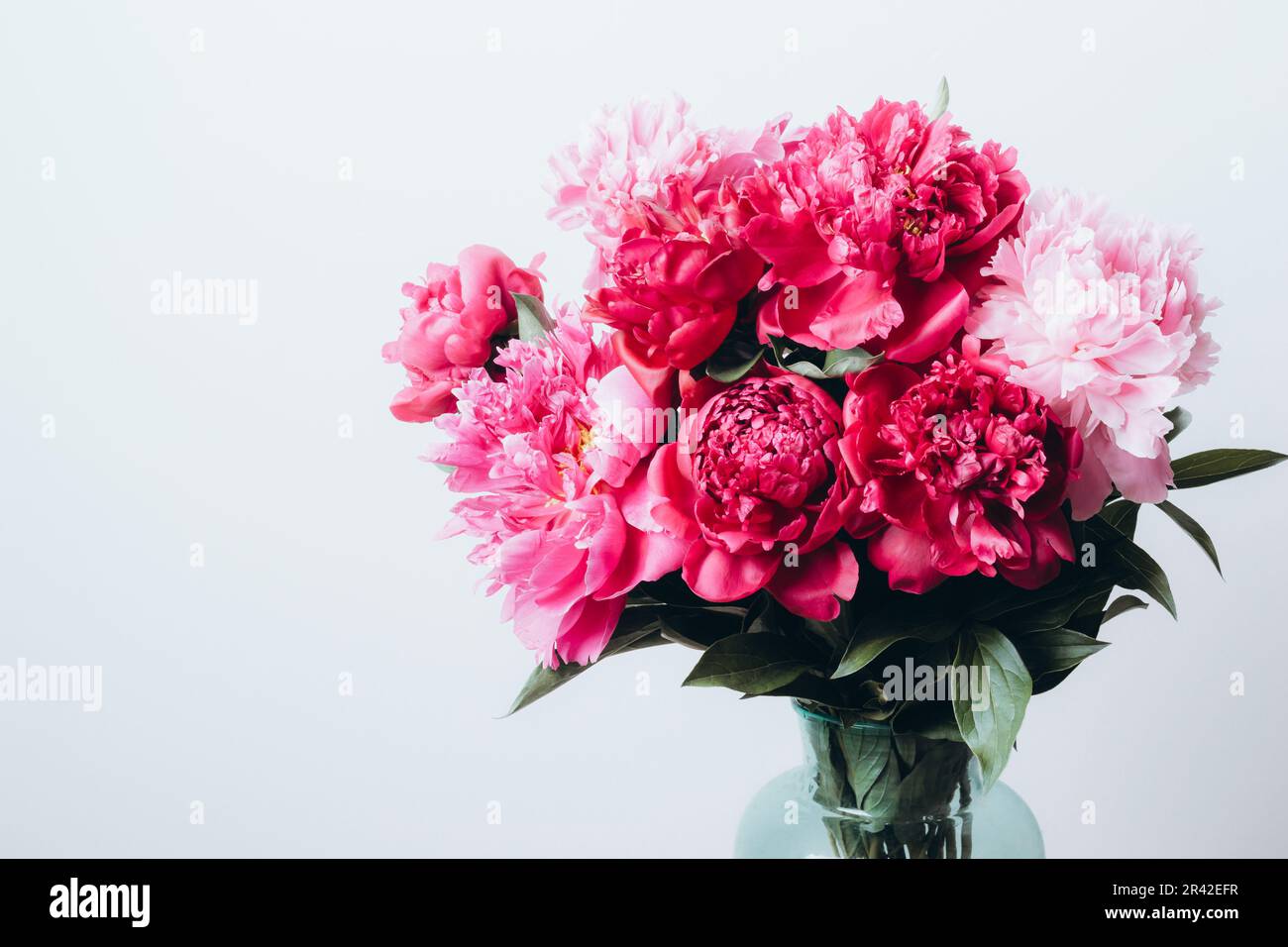 Magnifique bouquet de fleurs de pivoines dans vase en verre sur fond de mur blanc. Mise au point douce, vue avant. Concept de fleurs festives Banque D'Images