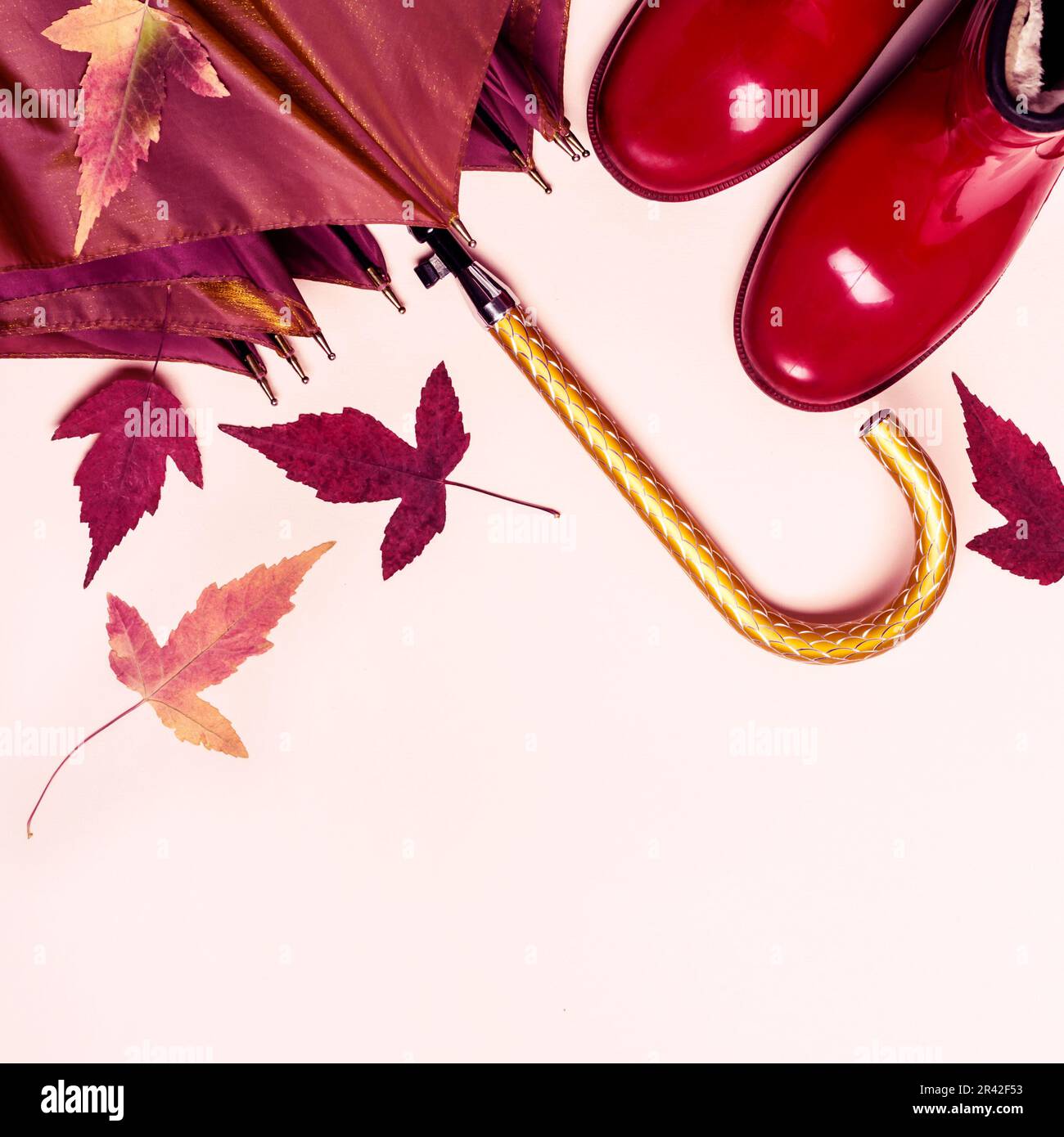 Vêtements féminins accessoires d'automne chaussures et parapluie sur fond de couleur pastel. Beauté et mode Banque D'Images