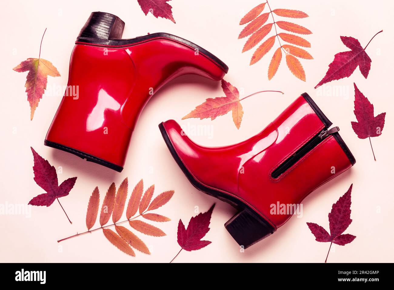 Bottes d'automne mode féminine en caoutchouc et feuilles sèches sur fond pastel Banque D'Images