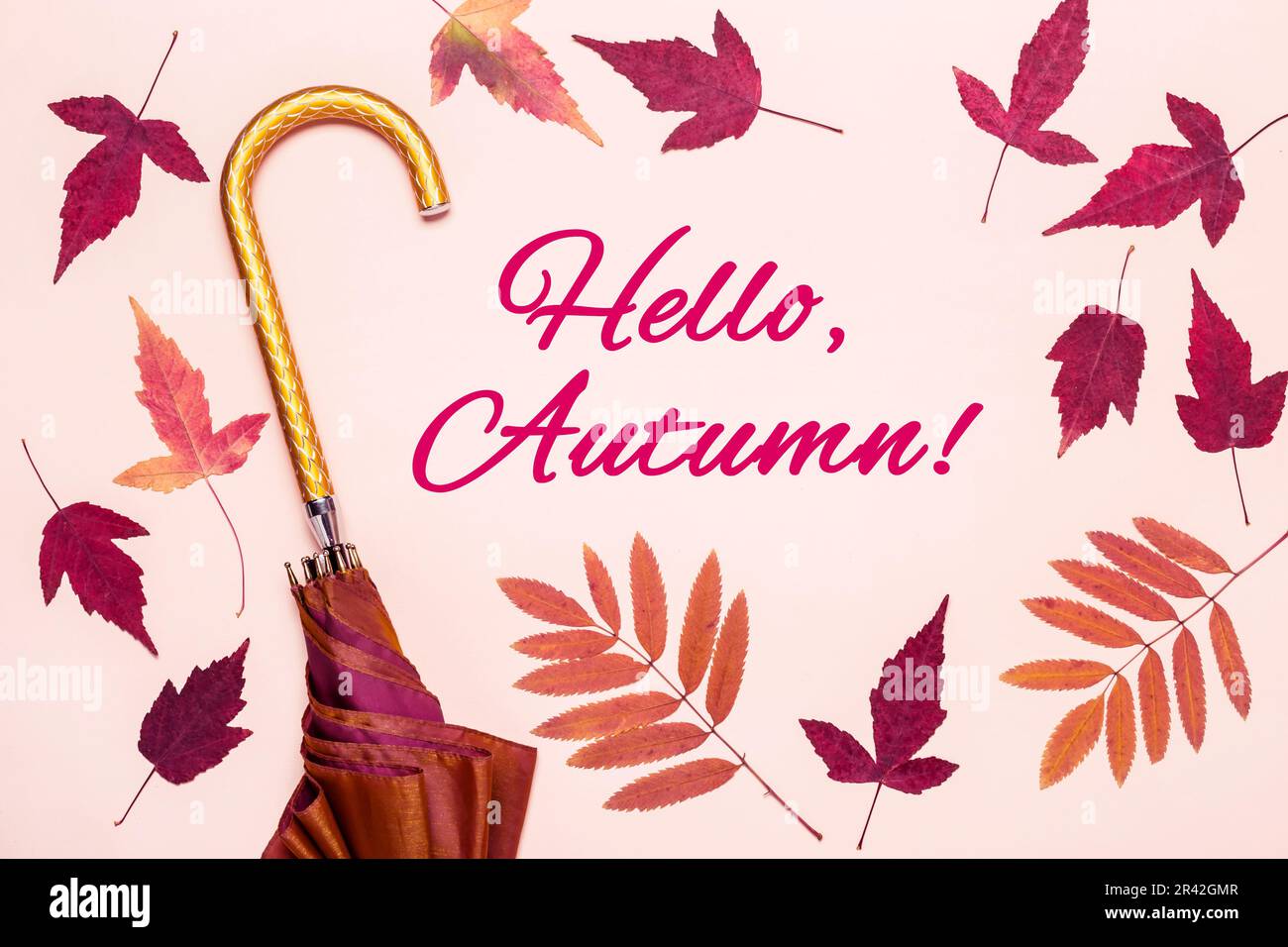 Cadre de feuilles d'automne multicolore et parapluie doré. Bonjour, les mots d'automne Banque D'Images