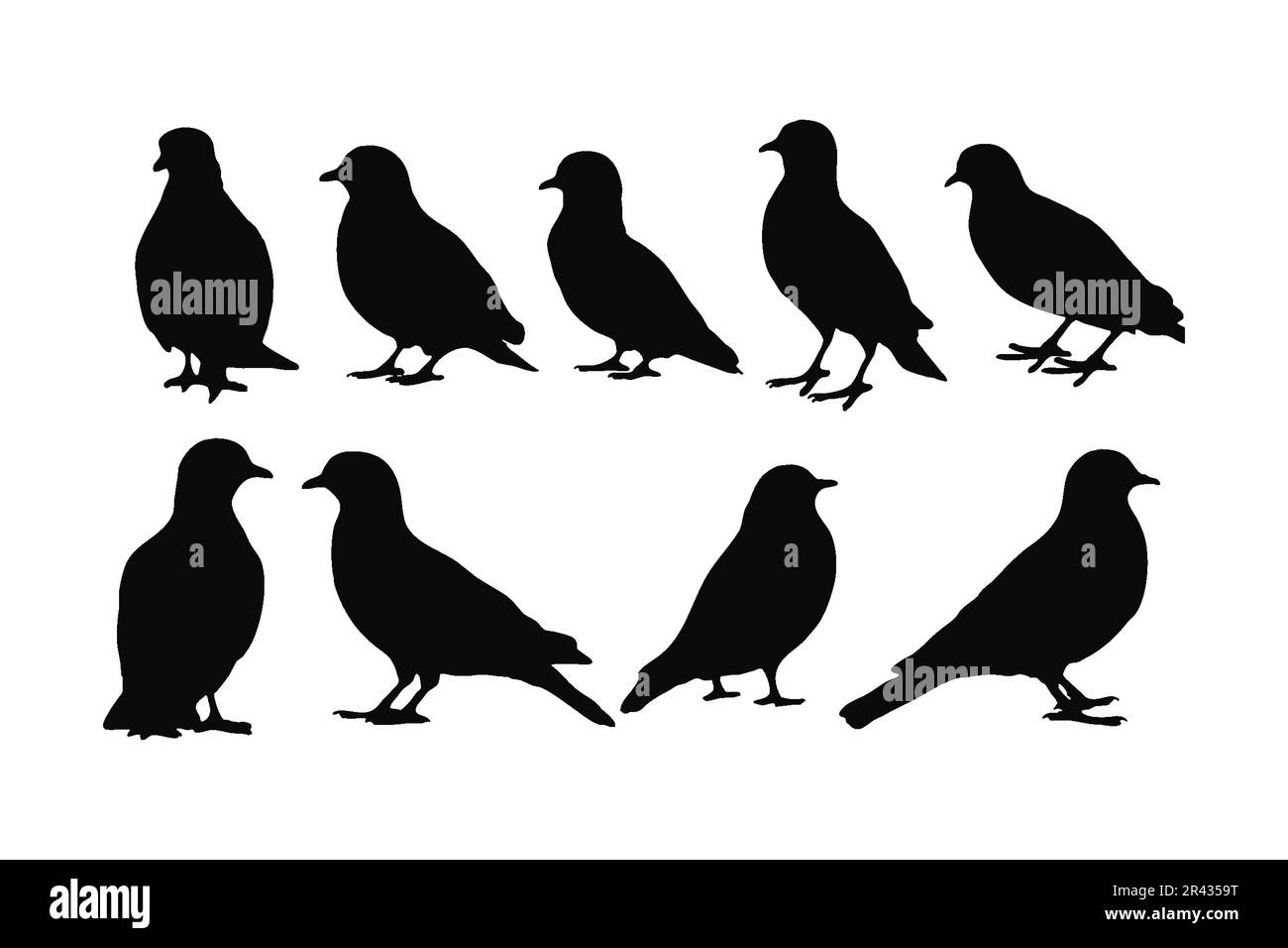 Collection de vecteurs de silhouette Pigeon sur fond blanc. Magnifique ensemble de silhouette pigeon assis paisiblement. Oiseau debout et assis. Volaille Illustration de Vecteur Collection de vecteurs de silhouette Pigeon sur fond blanc. Magnifique ensemble de silhouette pigeon assis paisiblement. Oiseau debout et assis. Volaille Illustration de Vecteur
