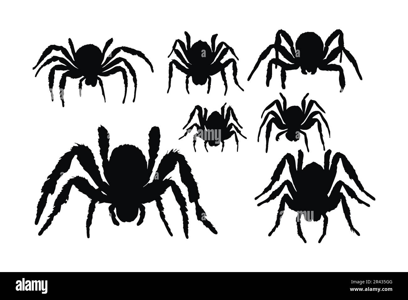 Araignée effrayante assise silhouette ensemble vecteur sur un fond blanc. Collection de silhouette d'insectes toxiques. Face avant du croisillon dans différentes positions si Illustration de Vecteur