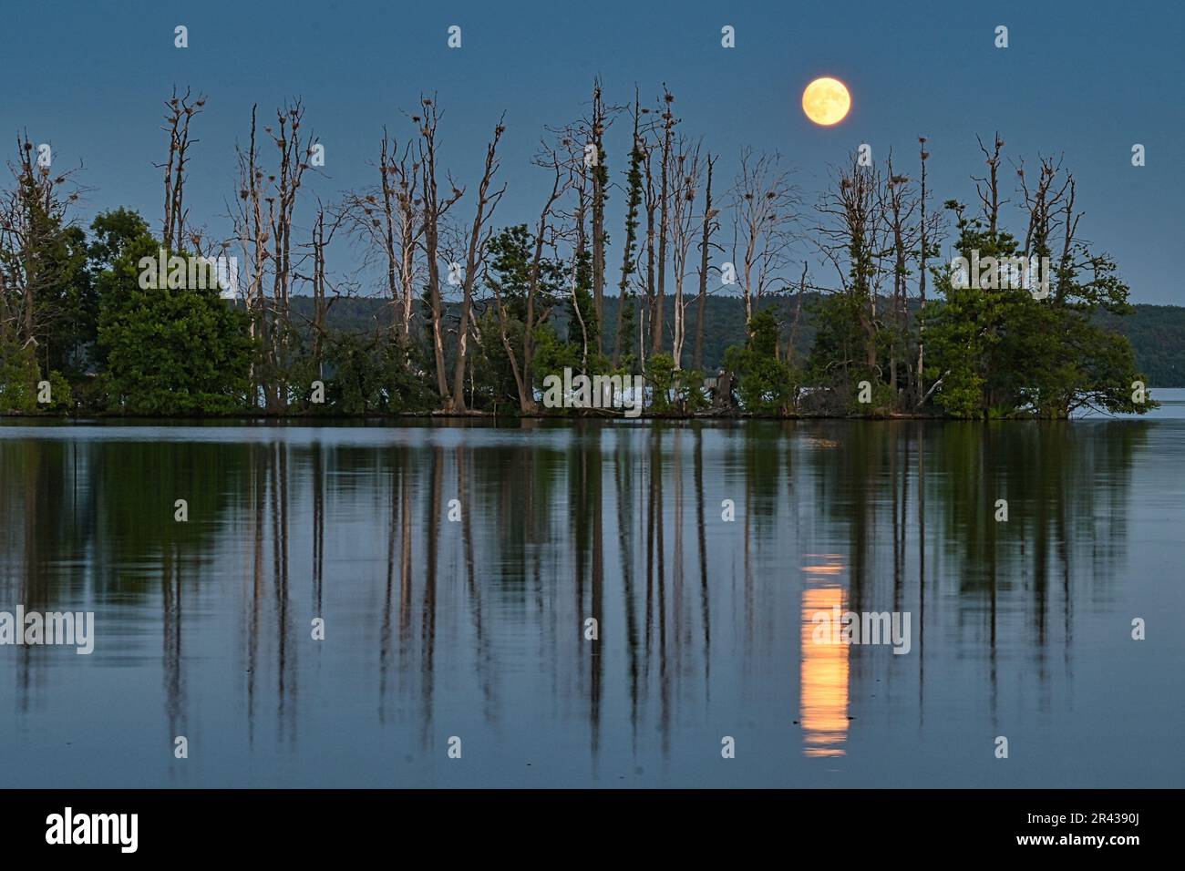 Une île dans le lac, au lever de la lune Banque D'Images